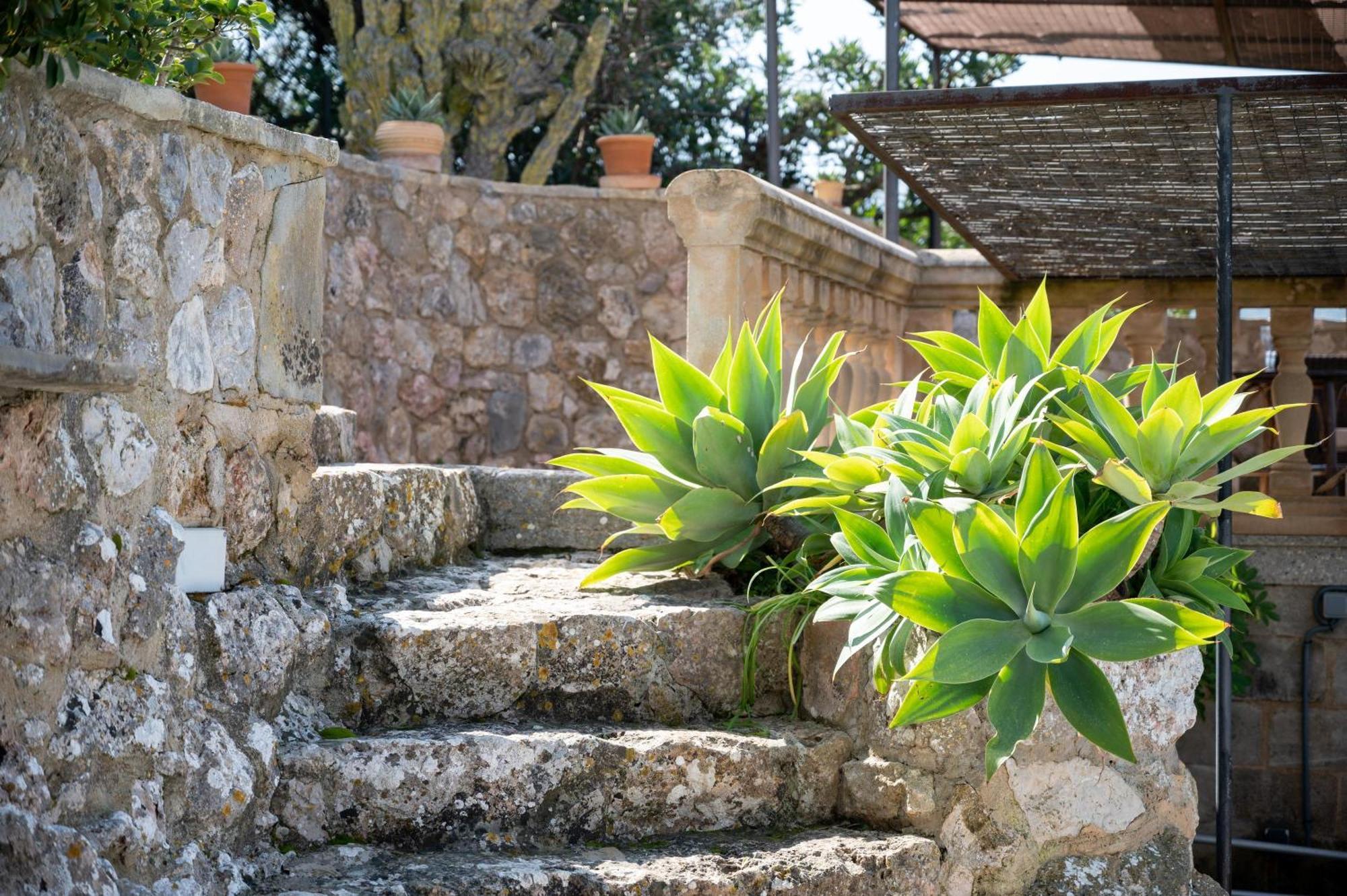 Pou Dels Escarabats Villa Pollença Dış mekan fotoğraf